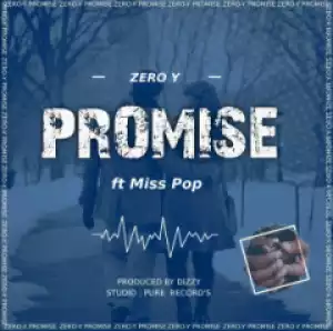 Zero Y - Promise ft. Miss pop